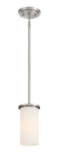  4090-84 - 1 LIGHT PENDANT / SEMI FLUSH