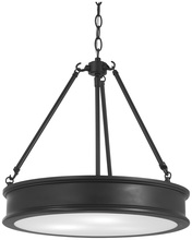  4173-66A - 3 LIGHT PENDANT