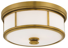  4365-249 - 2 LIGHT FLUSH MOUNT