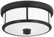  4365-66A - 2 LIGHT CEILING LIGHT