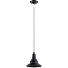  59057BKT - Outdoor Pendant 1Lt