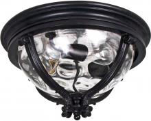  41420WGBK - Camden VX-Outdoor Flush Mount