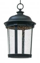  55029CDBZ - Dover LED-Outdoor Hanging Lantern