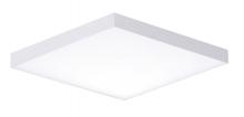  57667WTWT - Trim-Flush Mount