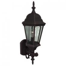  Z250-RT - Straight Glass Cast 1 Light Medium Outdoor Wall Mount in Rust