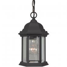  Z291-TB - Hex Style Cast 1 Light Outdoor Pendant in Textured Black