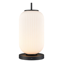  DVP40019GR-RIO - Mount Pearl 17.5" Table Lamp