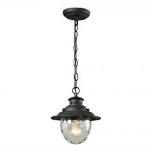  45041/1 - Searsport 1-Light Outdoor Pendant in Weathered Charcoal