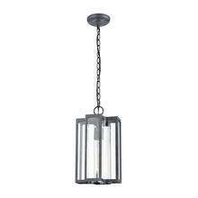  45167/1 - Bianca 1-Light Hanging in Aged Zinc with Clear