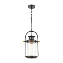  46672/1 - Wexford 1-Light Hanging in Matte Black with Seedy Glass