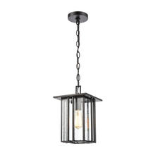  46693/1 - Radnor 1-Light Hanging in Matte Black with Seedy Glass