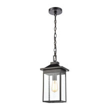  46703/1 - Lamplighter 1-Light Hanging in Matte Black with Seedy Glass