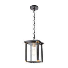  46723/1 - Vincentown 1-Light Hanging in Matte Black with Seedy Glass