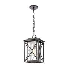  46753/1 - Carriage Light 1-Light Hanging in Matte Black with Seedy Glass