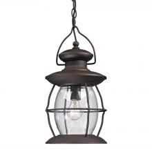  47043/1 - Village Lantern 1-Light Outdoor Hanging Lantern in Weathered Charcoal