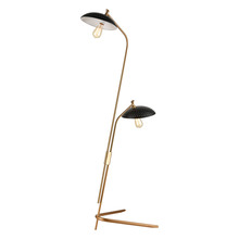  D4653 - Scarab 2-Light Floor Lamp