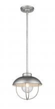  590P-GV - 1 Light Outdoor Pendant