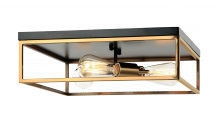  M15543BKAG - Clarke Ceiling Mount