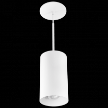  E429PB-1130 - 4? Koto Sylo Adjustable Pendant