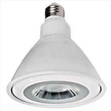  PAR38FLD - LED Lamp