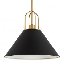  13165 - Hunter Carrington Isle Matte Black and Luxe Gold 1 Light Large Pendant Ceiling Light Fixture