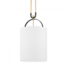  2034-AGB/BBR - 1 LIGHT PENDANT