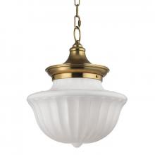  5015-AGB - 2 LIGHT LARGE PENDANT