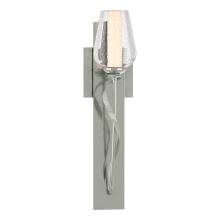  203030-SKT-85-ZS0354 - Flora Sconce