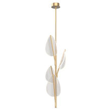  PD321104NB - Flora 4 Head Natural Brass LED Pendant