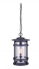  IOL343BK - DUFFY, 1 Lt Chain Pendant Outdoor, Seeded Glass, 100W Type A, 9 1/2" W x 16 1/8" H