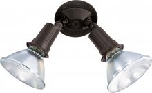 Nuvo SF76/523 - 2 Light - 10" Flood Light- PAR38 with Adjustable Swivel - Bronze Finish