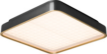  PC111082-SDG - Pan Flush Mount