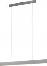  PP120288-AG - Prometheus Linear Pendant, Single Light Pendant